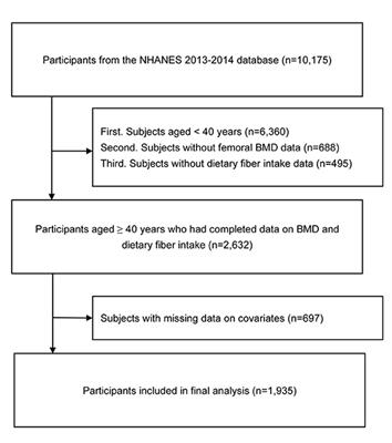 Dietary Fiber Intake and Femoral Bone Mineral Density in Middle-Aged and Older US Adults: A Cross-Sectional Study of National Health and Nutrition Examination Survey 2013–2014